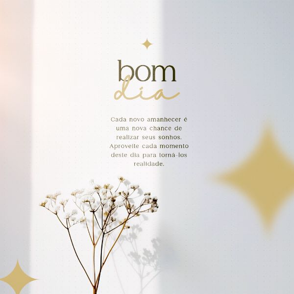 BOM DIA SOCIAL MEDIA FEED