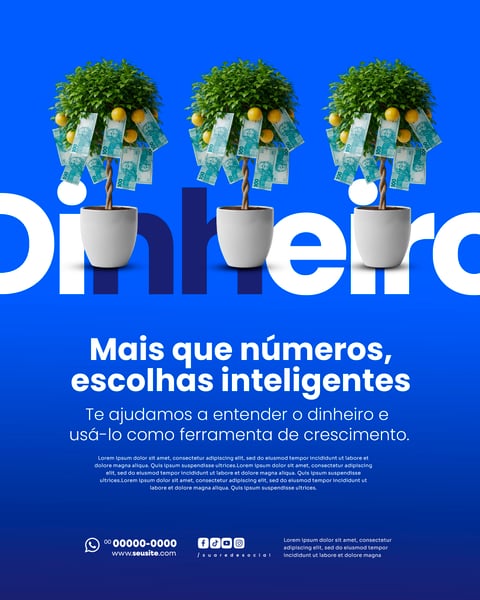 CONSULTOR FINANCEIRO