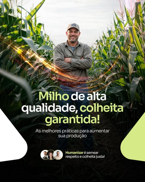CONSULTORIA AGRONÔMICA - MILHO DE QUALIDADE
