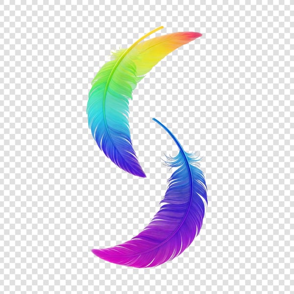 PENAS COLORIDAS DE AVES 12