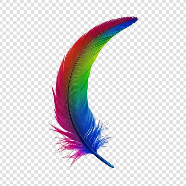 PENA COLORIDA DE AVE 01