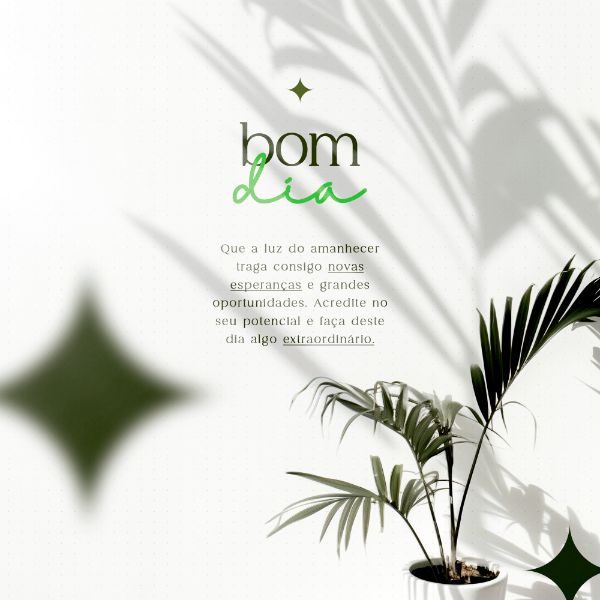 BOM DIA SOCIAL MEDIA FEED