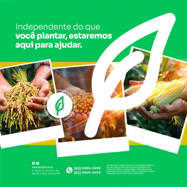 AGRONEGÓCIO - PLANTAÇÃO