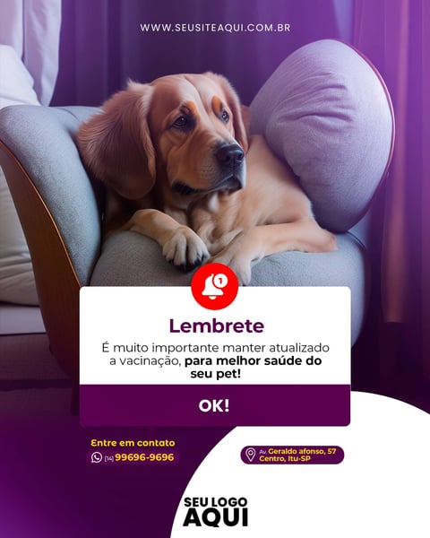 POST FEED - PET SHOP | CLINICA VETERINÁRIA