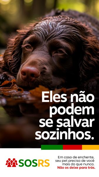 RIO GRANDE DO SUL SOS CUIDE DO SEU PET RS STORY