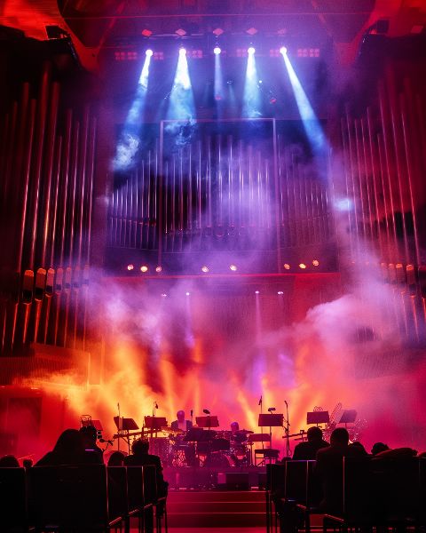 PALCO DE SHOWS | EVENTOS | ARTISTAS | PARA COMPOSIÇÃO | FLYER | IMAGEM