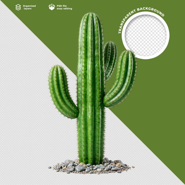 REALISTIC 3D SAGUARO CACTUS PLANT WITH ROCKY BASE GREEN DESERT ELEMENT