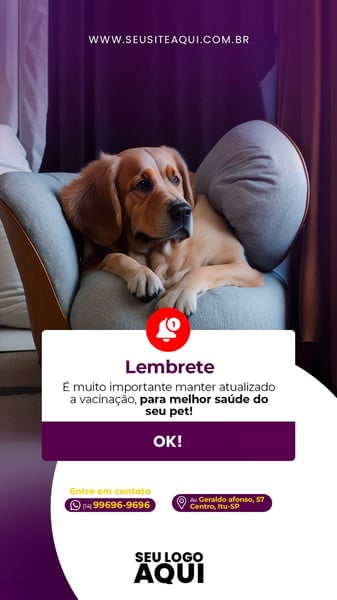 STORY - PET SHOP | CLINICA VETERINÁRIA