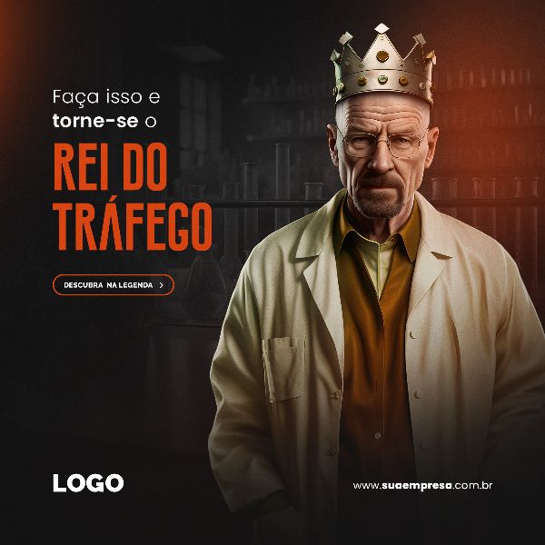 TRÁFEGO PAGO / GESTOR DE TRÁFEGO 25 ORANGE FEED