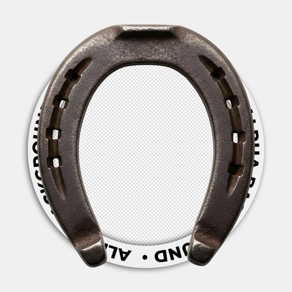 FERRADURA DE CAVALO DE METAL 01