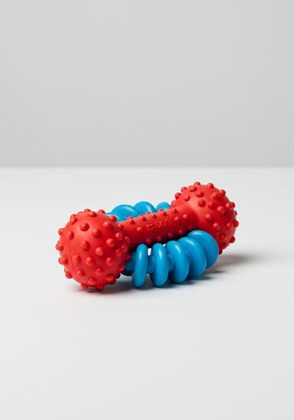 PRODUTO PARA PETS MORDEDOR PET 3