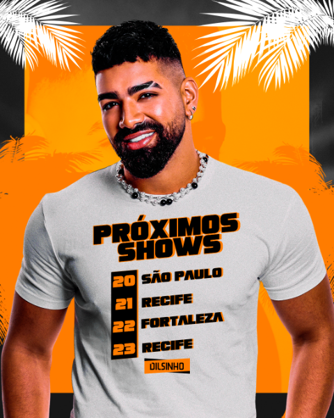 DZA - AGENDA DILSINHO FEED