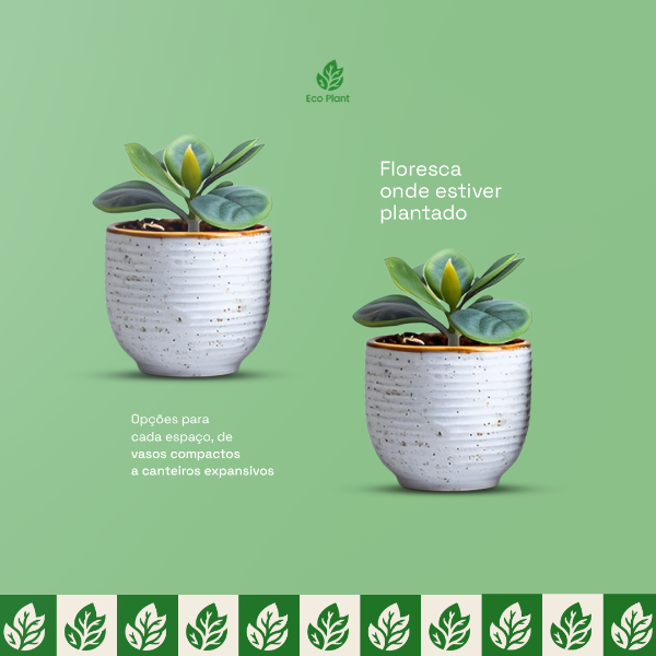 FLORESCA ONDE ESTIVER PLANTADO