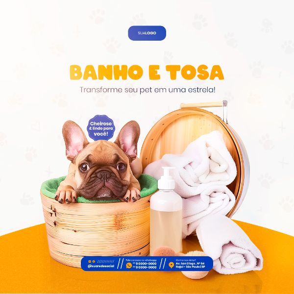 PETSHOP SOCIAL MEDIA POST FEED