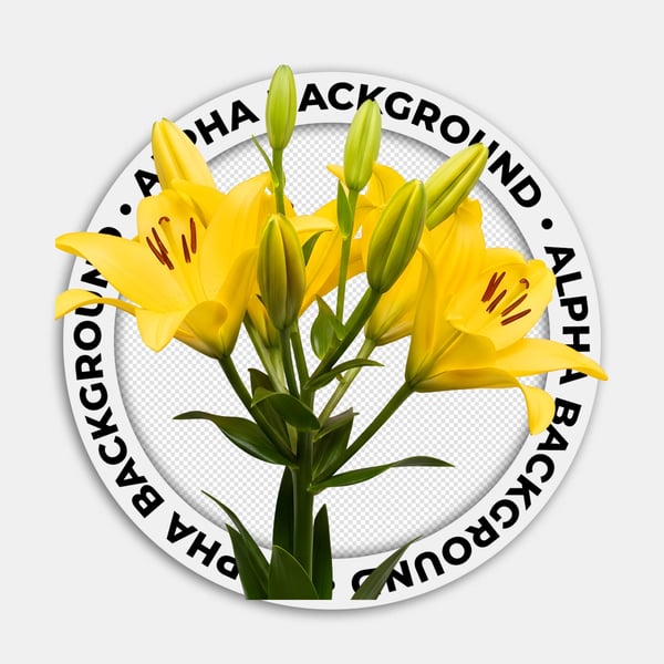 FLOR AMARELA PARA O DIA DAS MULHERES 02