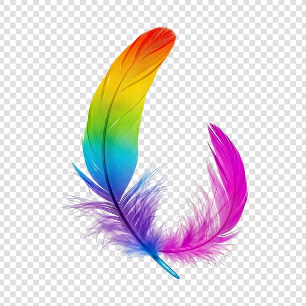 PENAS COLORIDAS DE AVES 08