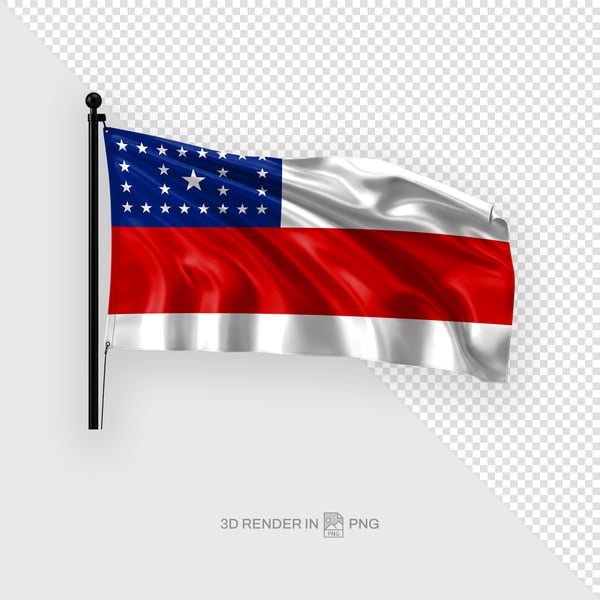 QWP BANDEIRA AMAZONAS