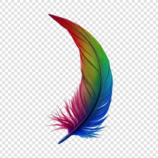 PENA COLORIDA DE AVE 04