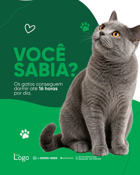 Social Media Pet Shop PSD Editável 5