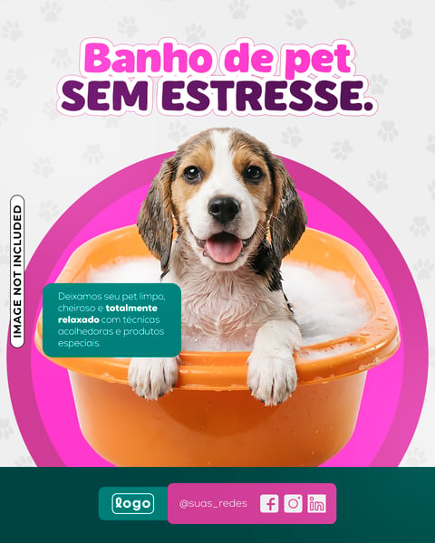 POST CARD PET SHOP