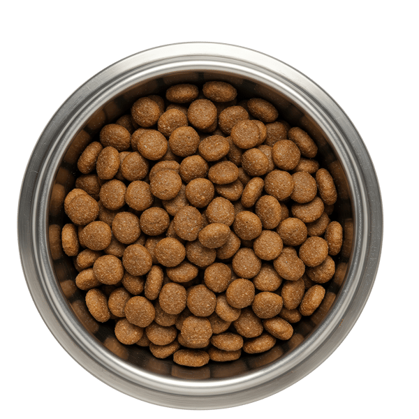 TIGELA-DE-RAÇÃO-VISTA-DE-CIMA