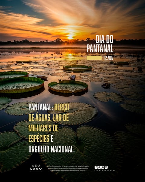 DIA DO PANTANAL