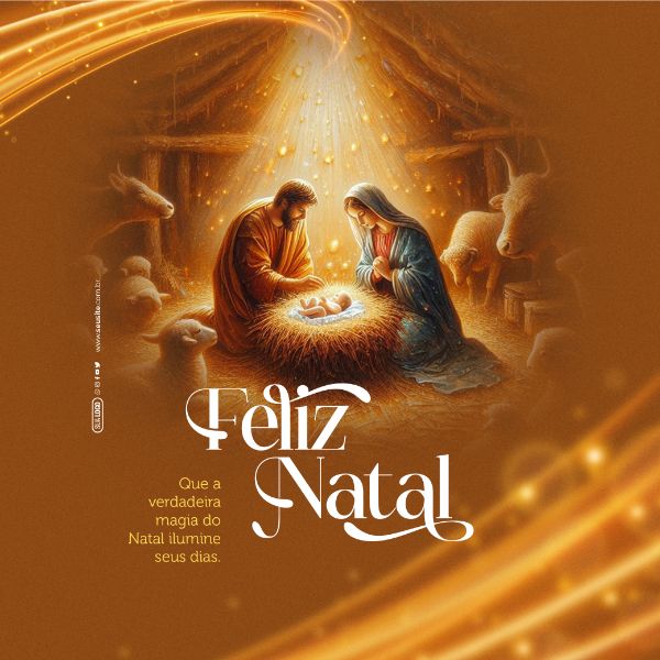 SOCIAL MEDIA - FELIZ NATAL - VERDADEIRA MADIA DO NATAL