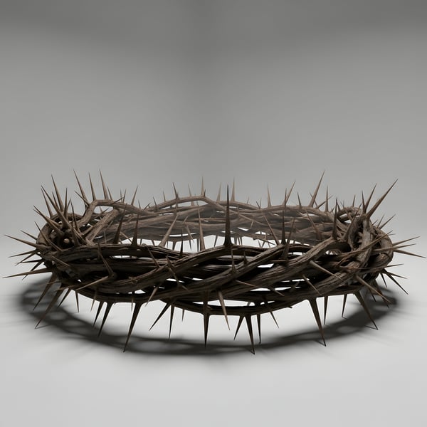 COROA DE ESPINHOS DE JESUS CRISTO EM UM FUNDO LISO ESTÚDIO 04