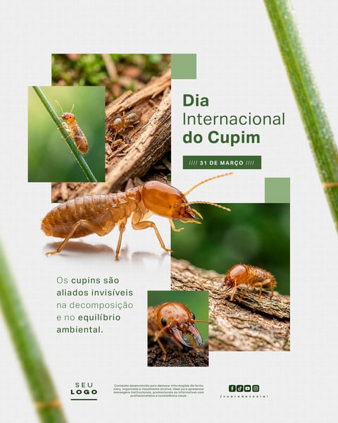 DIA INTERNACIONAL DO CUPIM 31 DE MARÇO SOCIAL MEDIA PSD EDITÁVEL 3