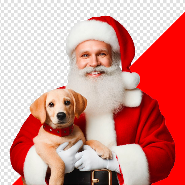 IMAGEM DE PAPAI NOEL COM CACHORRO SEM FUNDO