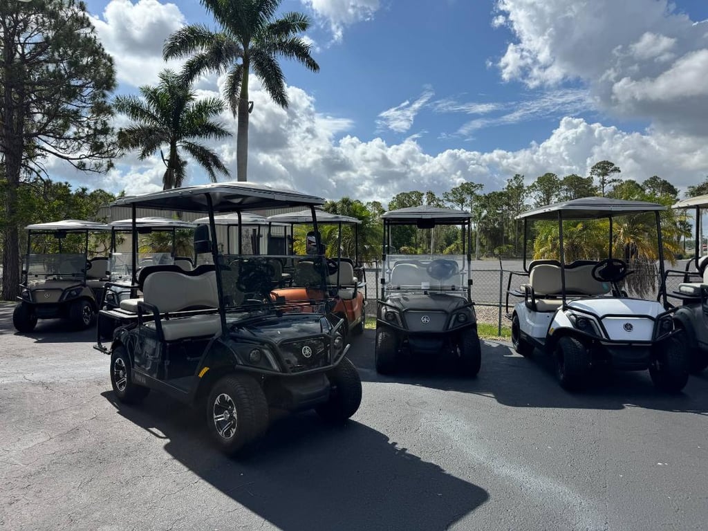 Yamaha Drive2 - Image 2