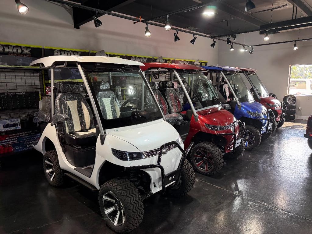 Evolution D3 - Image 1