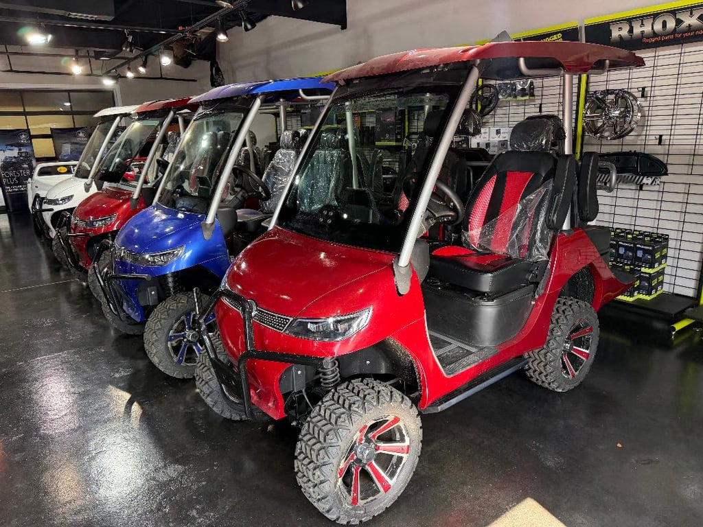 Evolution D3 - Image 2