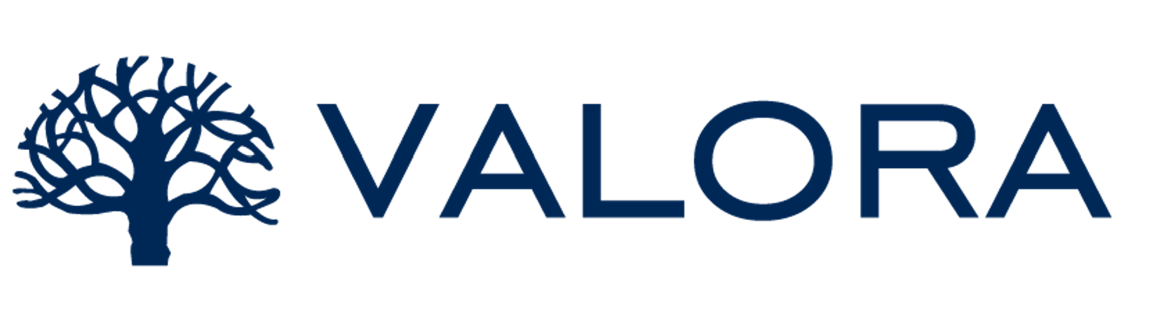 Logo principal