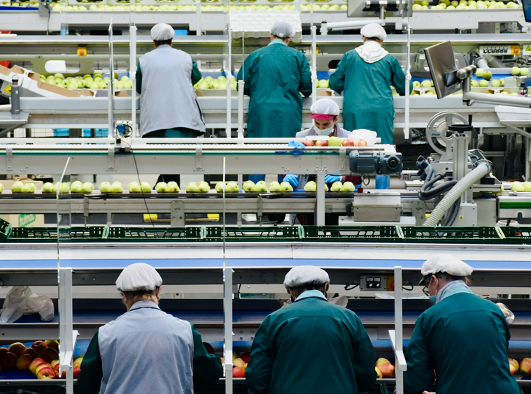 Gestión de riesgos y cadena de suministro