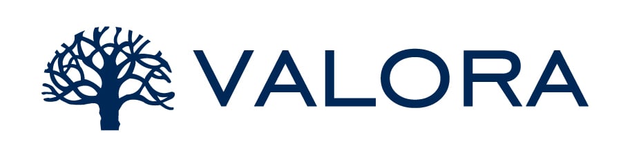 Valora Consultores