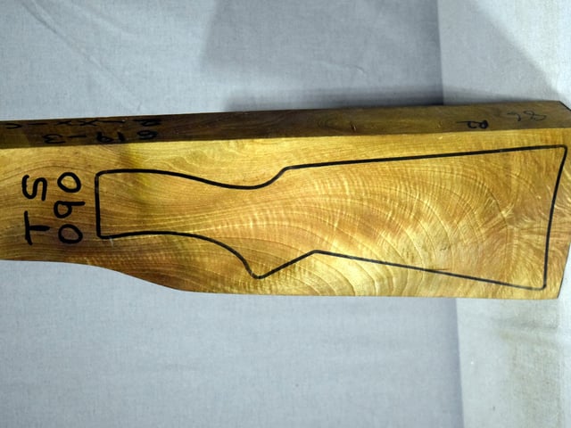 Left side of TS 090 stockwood blank