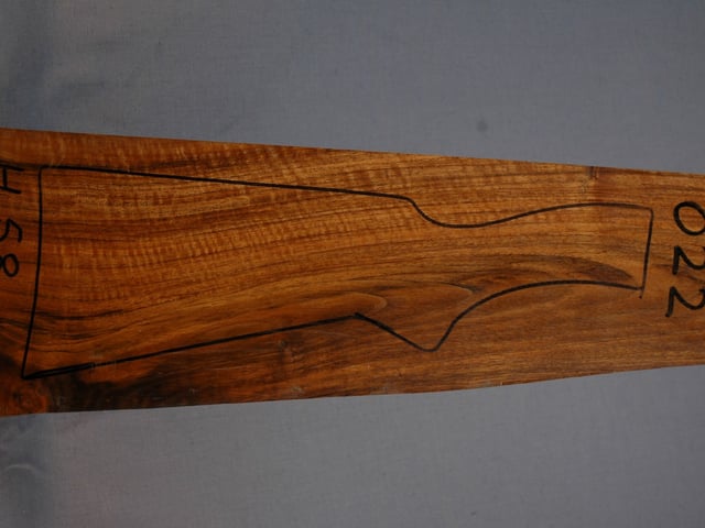 Right side of VS 022 stockwood blank