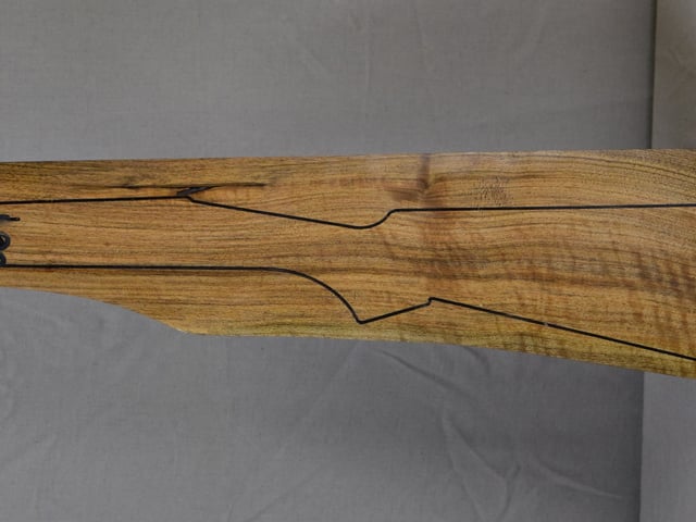 Left side of TTD 009 stockwood blank