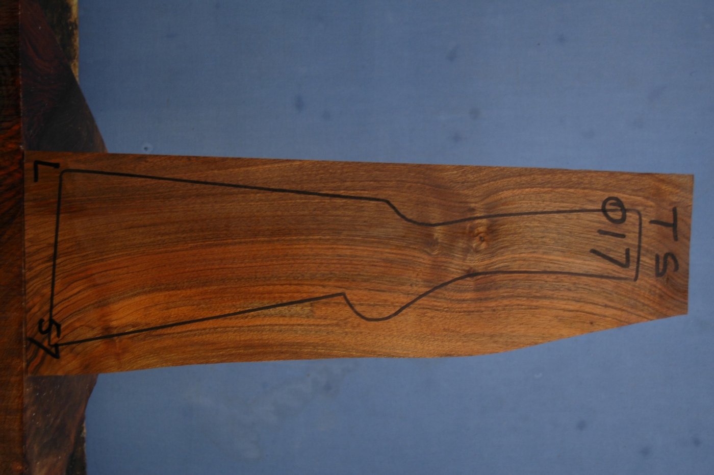 Right side of TS 017 stockwood blank