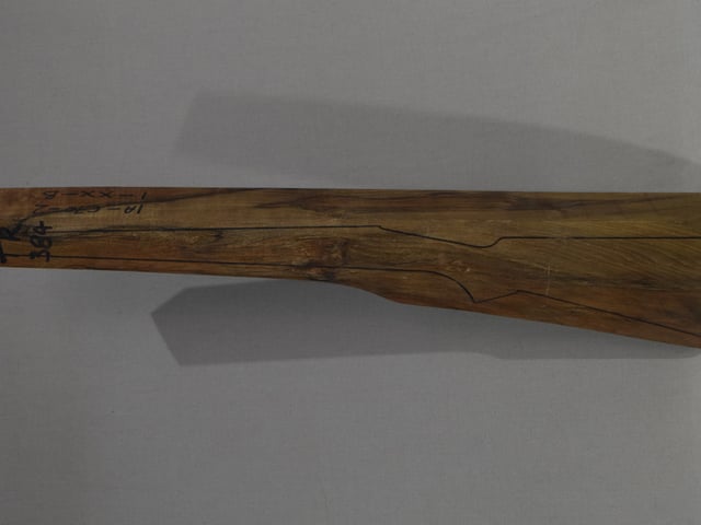 Left side of TR 384 stockwood blank