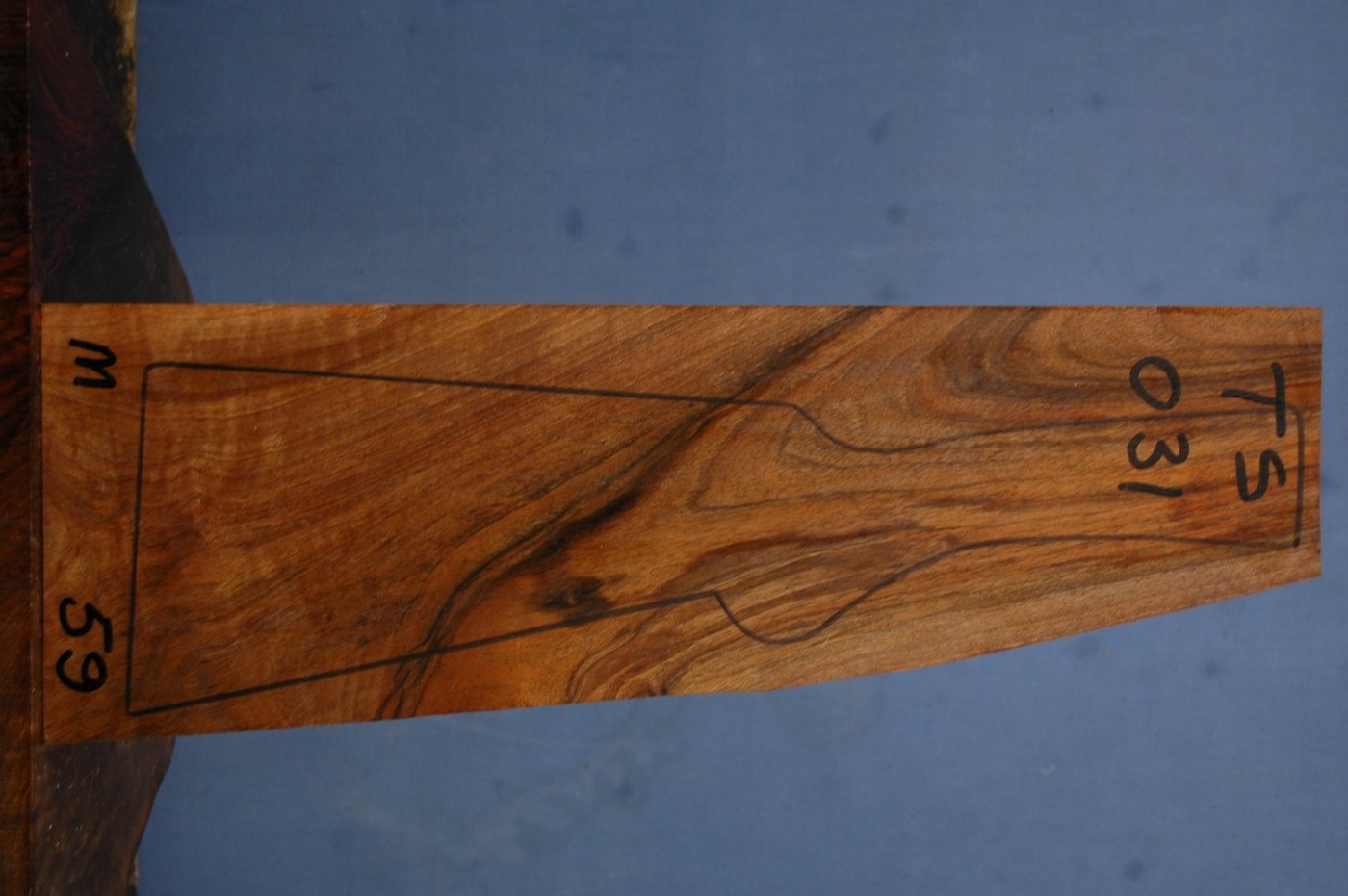 Right side of TS 031 stockwood blank