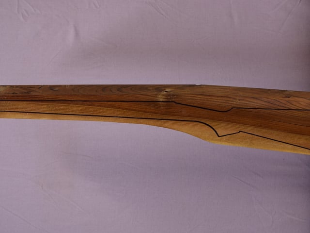 Left side of TR 161 stockwood blank