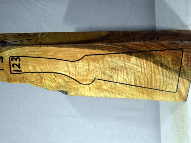Left side of TS 123 stockwood blank