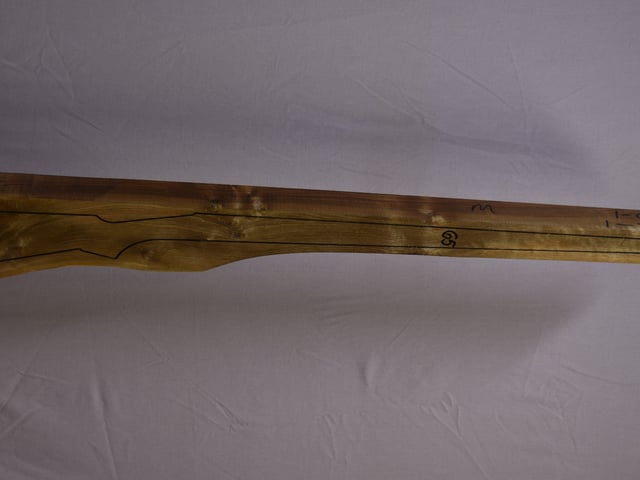 Right side of TM 001 stockwood blank