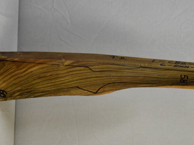 Right side of NTD 026 stockwood blank