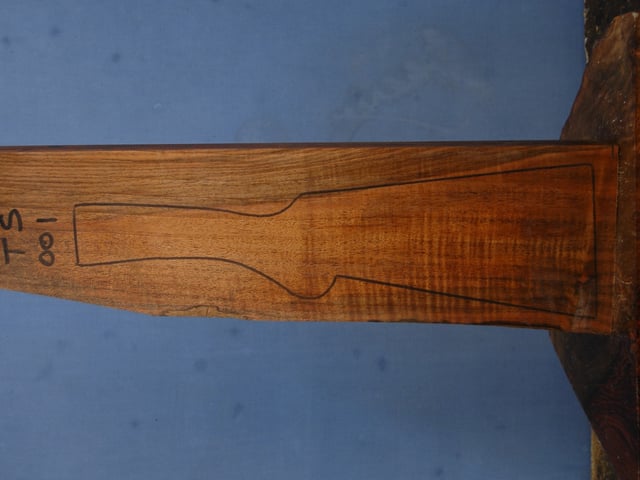 Left side of TS 001 stockwood blank