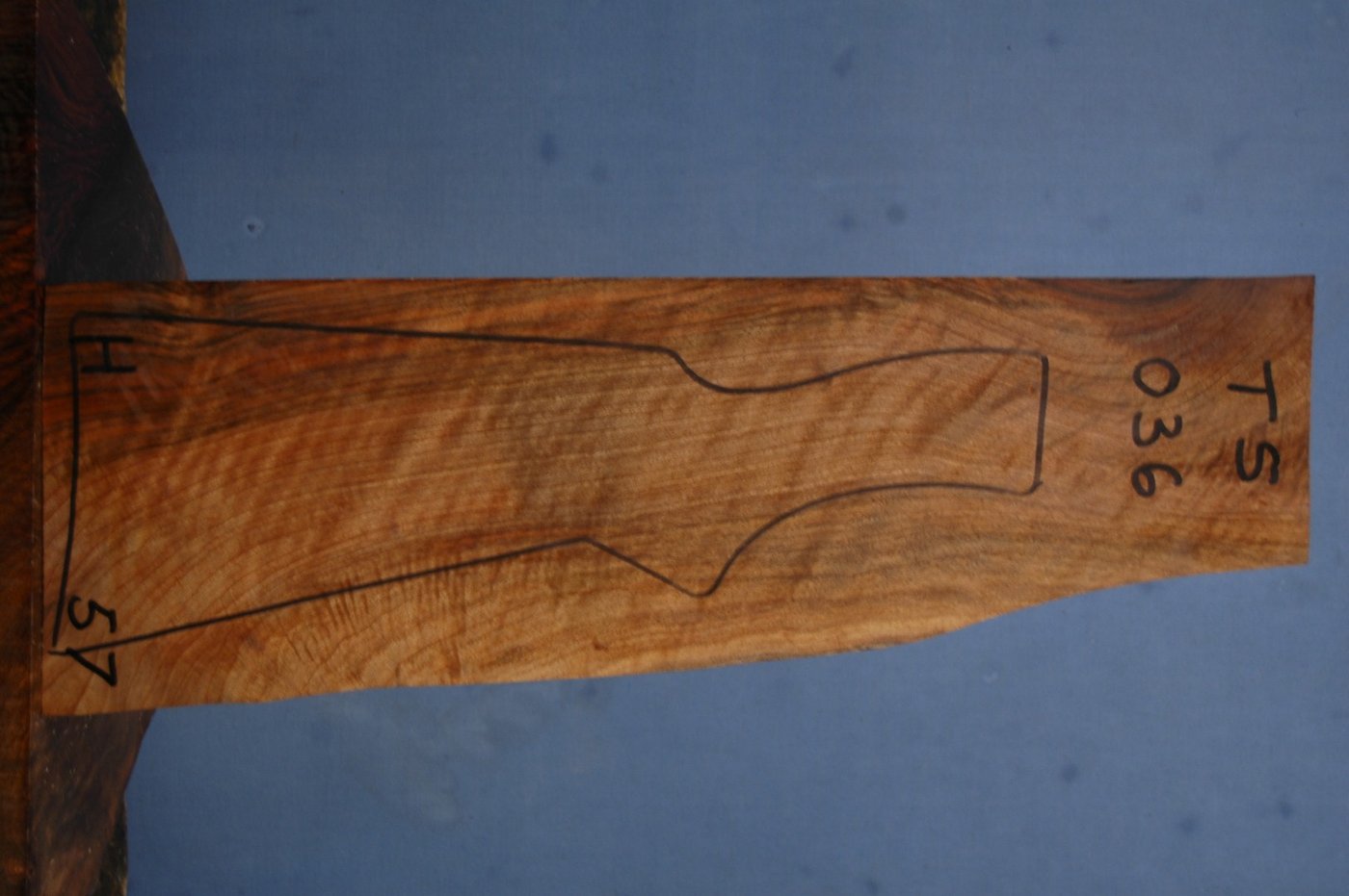 Right side of TS 036 stockwood blank