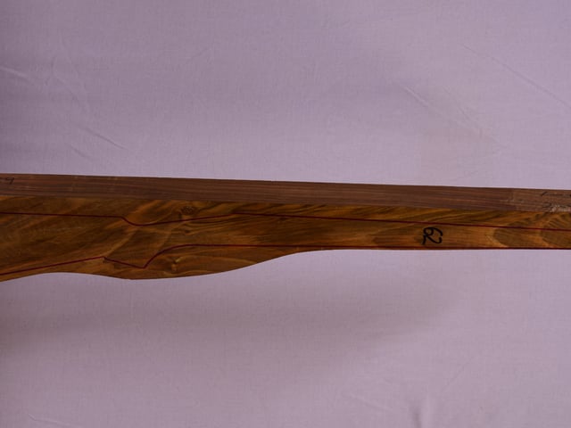Right side of VR021 stockwood blank