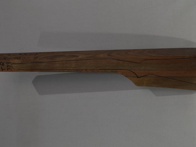 Left side of TR 379 stockwood blank